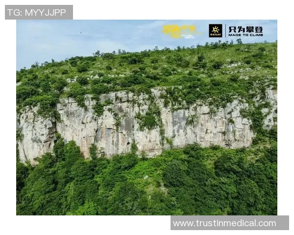 对话陈强：探索攀岩生涯的挑战与成就之路